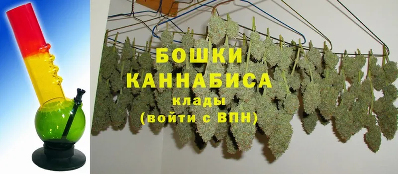 Канабис OG Kush  Всеволожск 